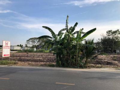 ที่ดิน 35000 ปทุมธานี คลองหลวง คลองหนึ่ง