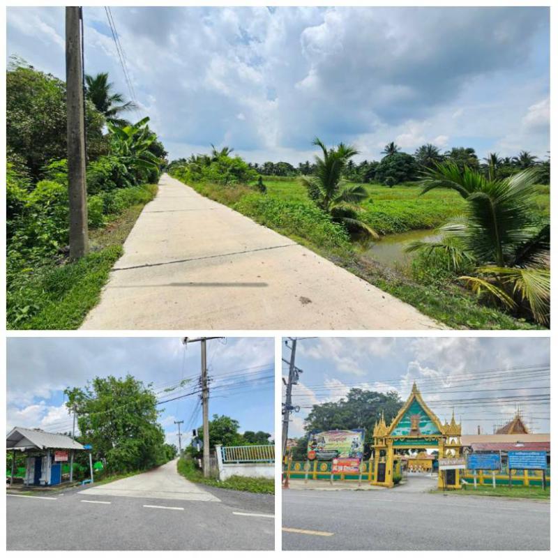 ที่ดิน 800000 ปทุมธานี หนองเสือ บึงบา